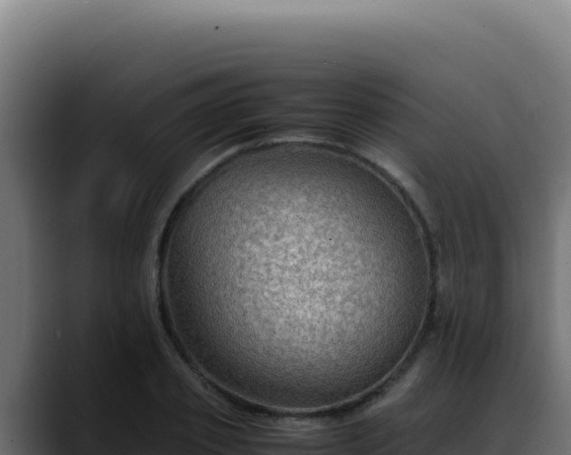 X0000088400933200705291426