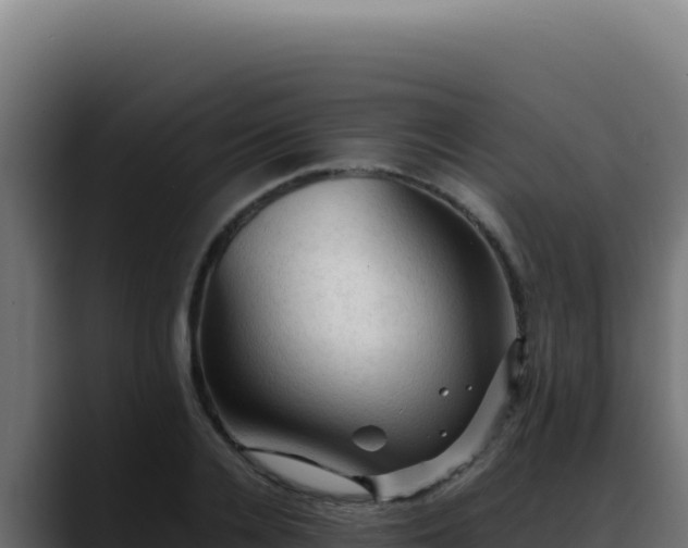 X0000088400936200705291426