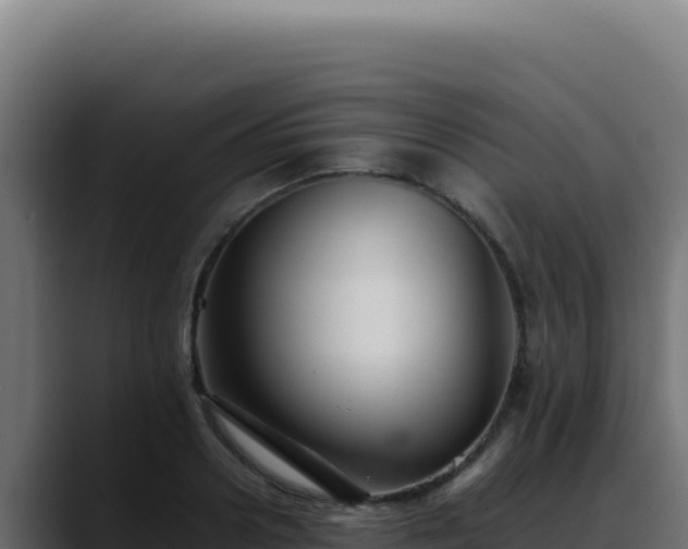 X0000088400938200705291426