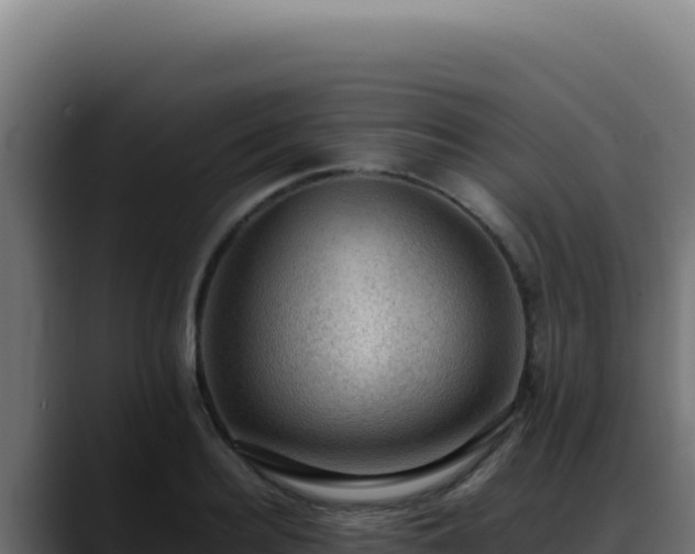 X0000088400940200705291426