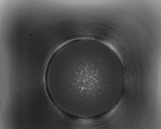 X0000088400943200705291426