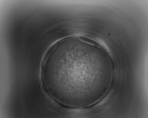 X0000088400948200705291426