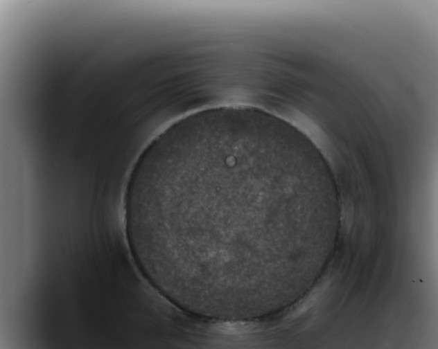 X0000088400950200705291426