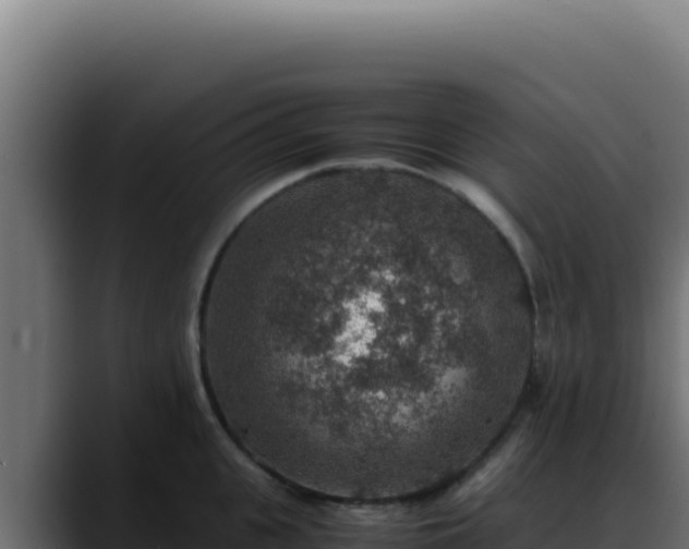 X0000088400951200705291426