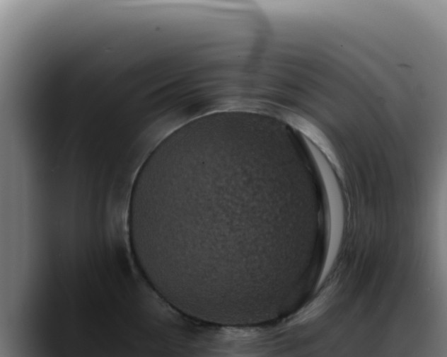 X0000088400954200705291426