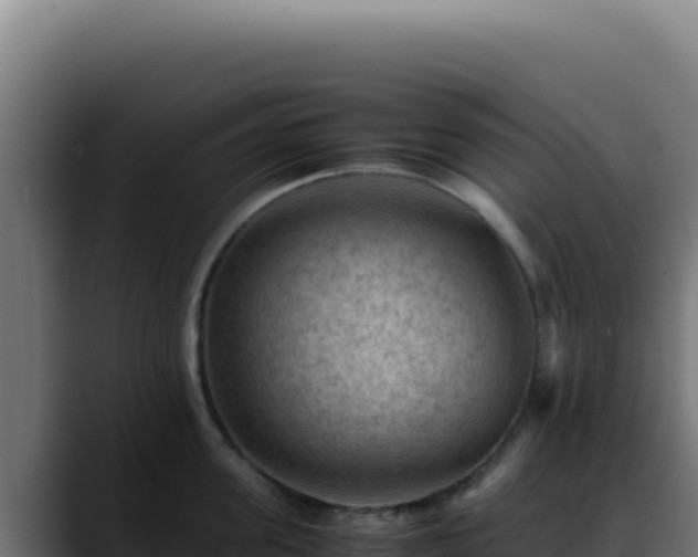 X0000088400955200705291426