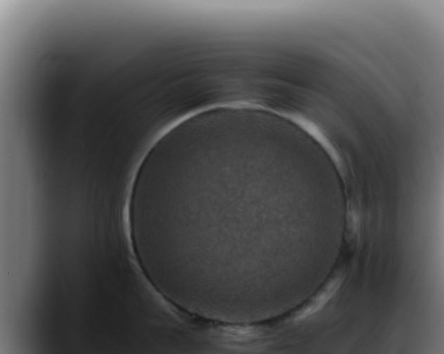 X0000088400959200705291426