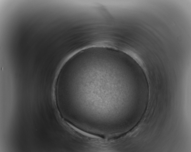 X0000088400960200705291426