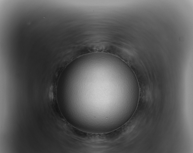 X0000088400962200705291425