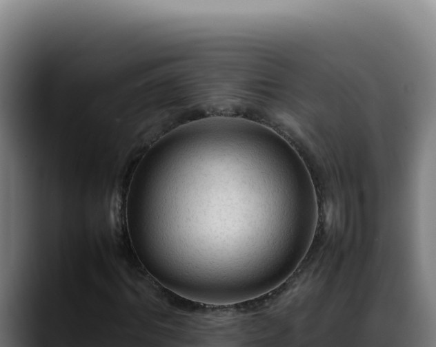 X0000088400964200705291425