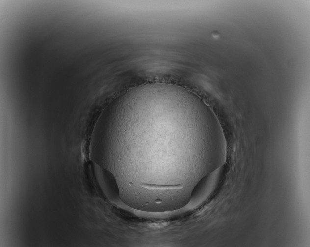 X0000088400965200705291425