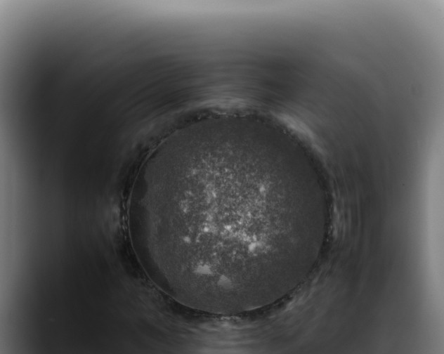 X0000088400966200705291425