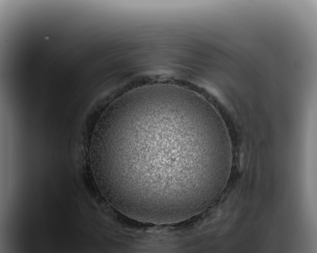 X0000088400967200705291425