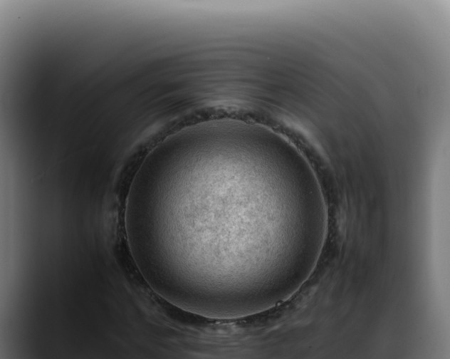 X0000088400968200705291425