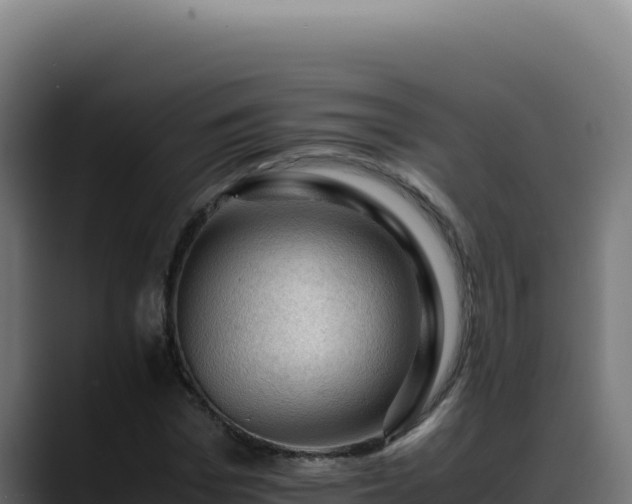 X0000088400969200705291425