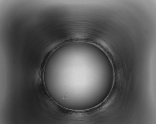 X0000088400970200705291425