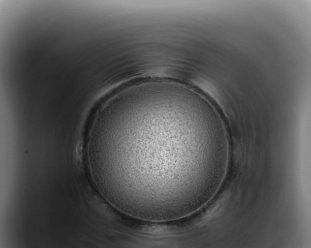 X0000088400971200705291425