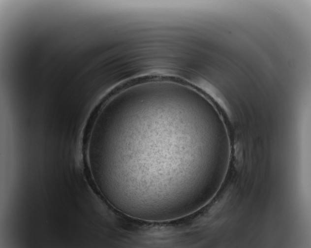 X0000088400972200705291425