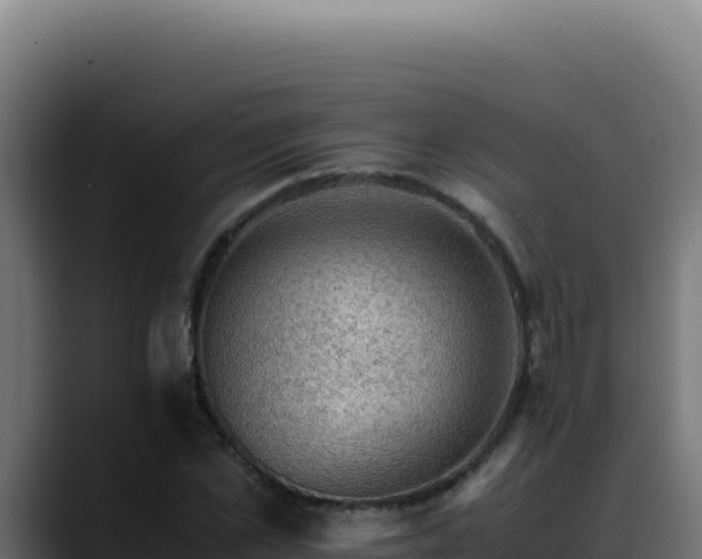 X0000088400973200705291425