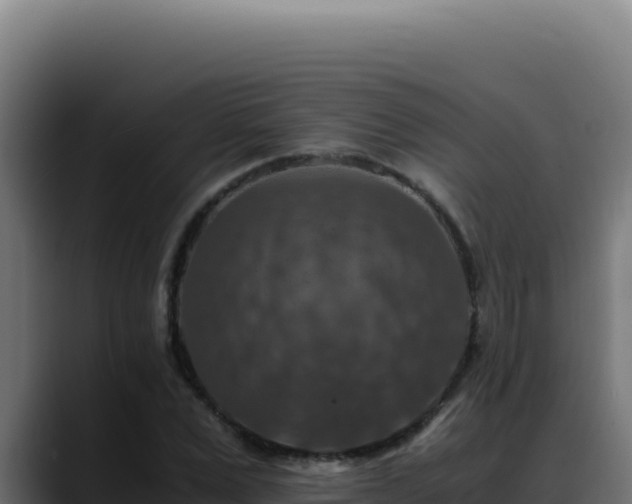 X0000088400975200705291425