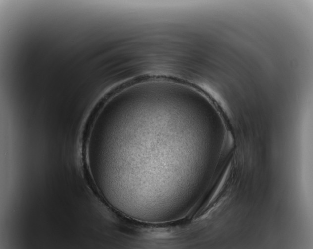 X0000088400976200705291425