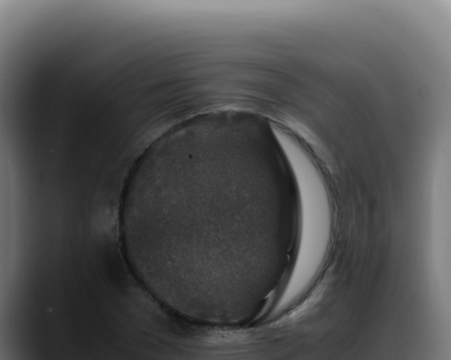 X0000088400977200705291425