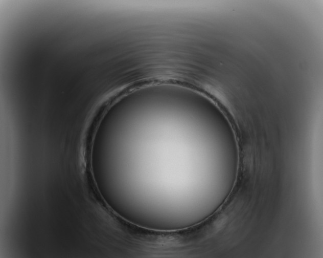 X0000088400979200705291425