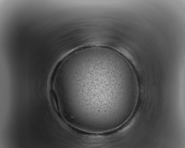 X0000088400981200705291425