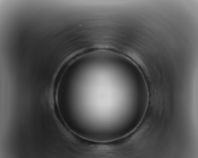 X0000088400984200705291425