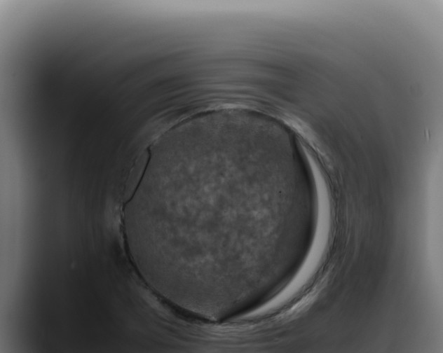 X0000088400985200705291425