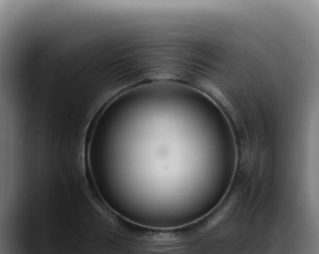 X0000088400986200705291425