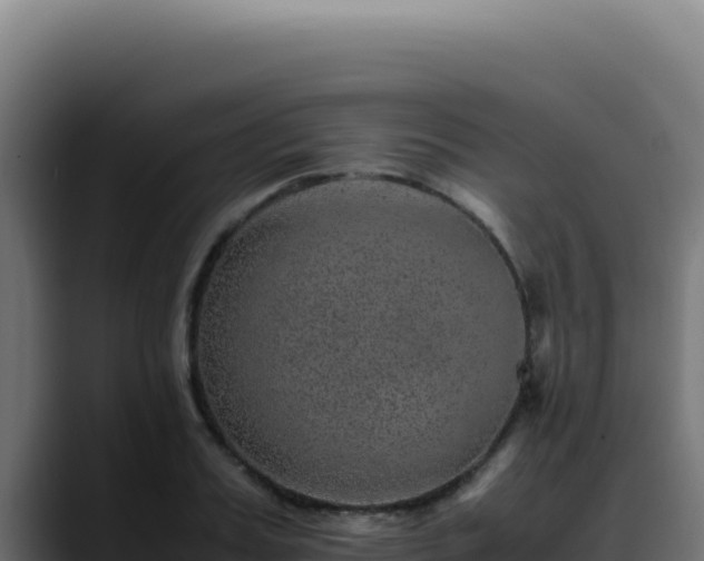 X0000088400987200705291425