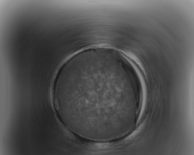 X0000088400989200705291425