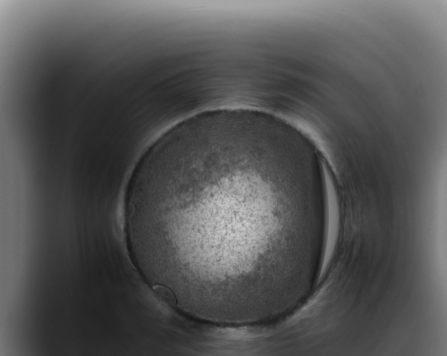 X0000088400990200705291425