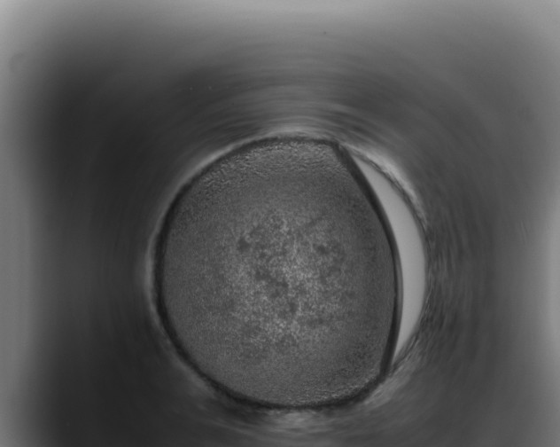 X0000088400991200705291425