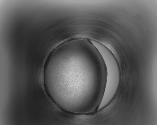 X0000088400992200705291425