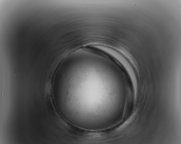 X0000088400993200705291425