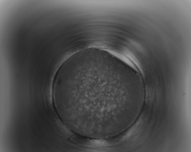 X0000088400994200705291425