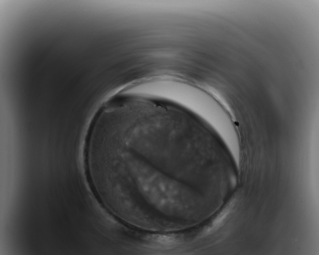 X0000088400995200705291425