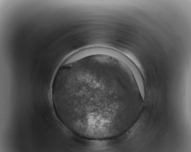 X0000088400996200705291425