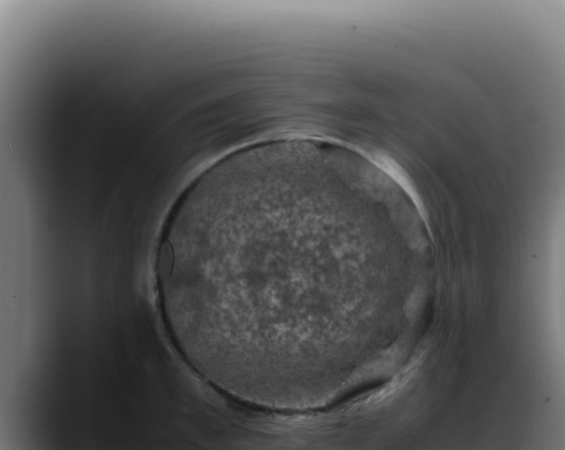 X0000088400997200705291425