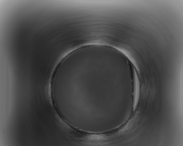 X0000088400998200705291425