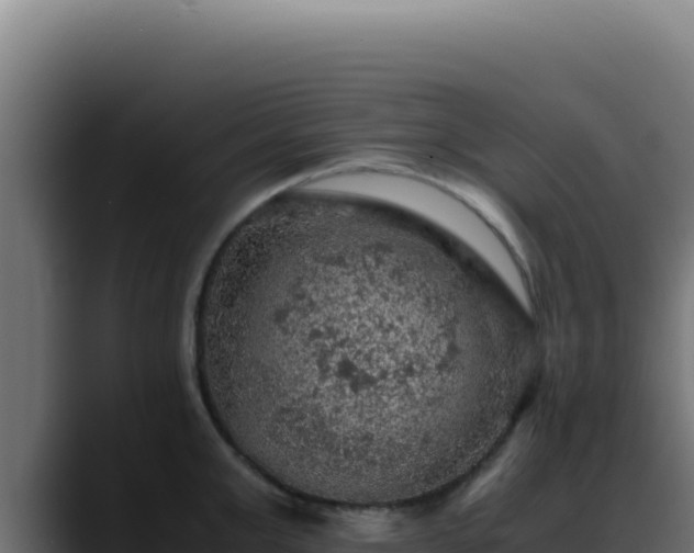 X0000088400999200705291425