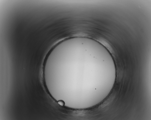 X0000088401000200705291425