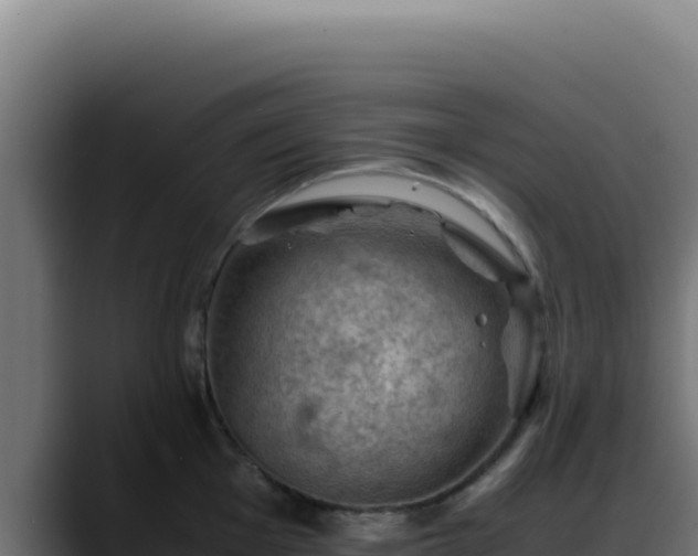 X0000088401001200705291425