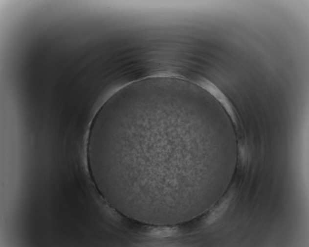 X0000088401002200705291425