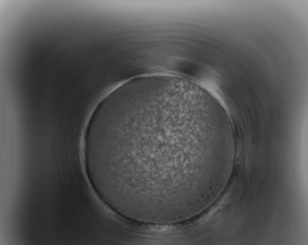 X0000088401003200705291425