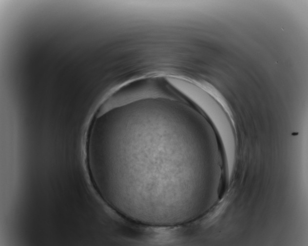 X0000088401005200705291425