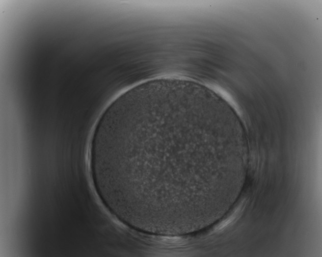 X0000088401007200705291425