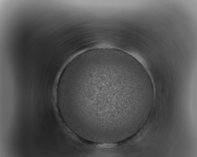 X0000088401008200705291425